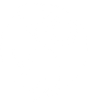 VSO (Vietnamese Student Organization)