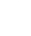 VSO (Vietnamese Student Organization)